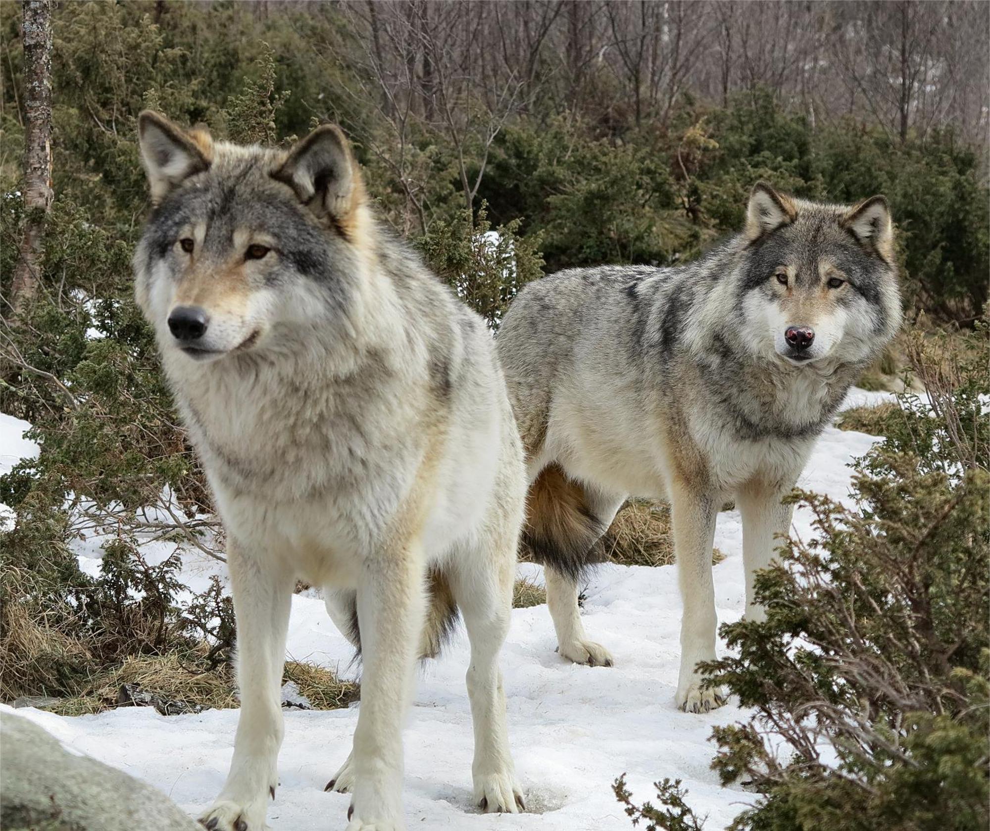 Langedrag Naturpark As Tunhovd المظهر الخارجي الصورة