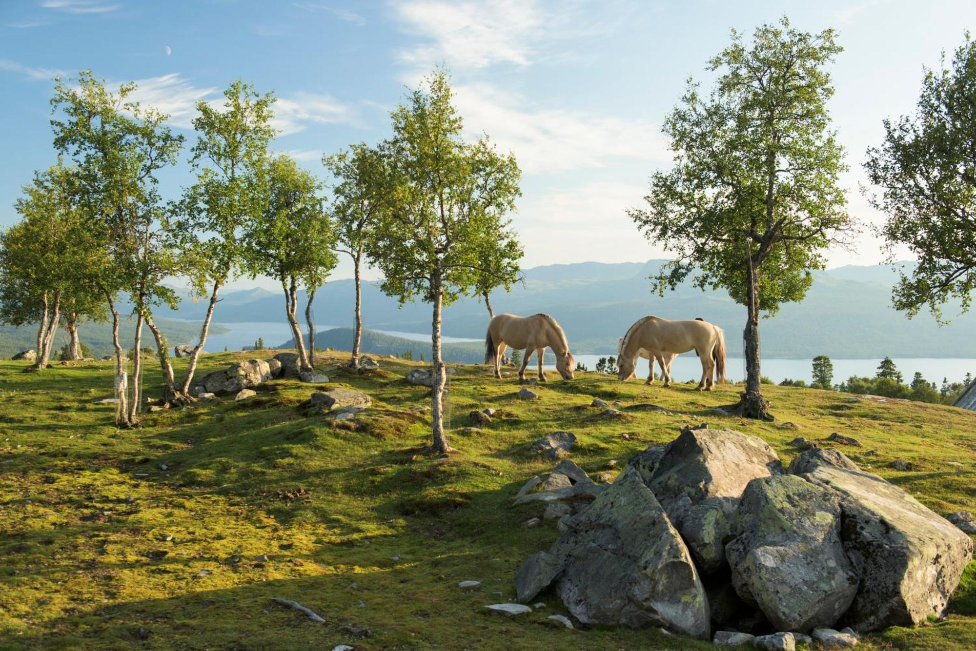 Langedrag Naturpark As Tunhovd المظهر الخارجي الصورة